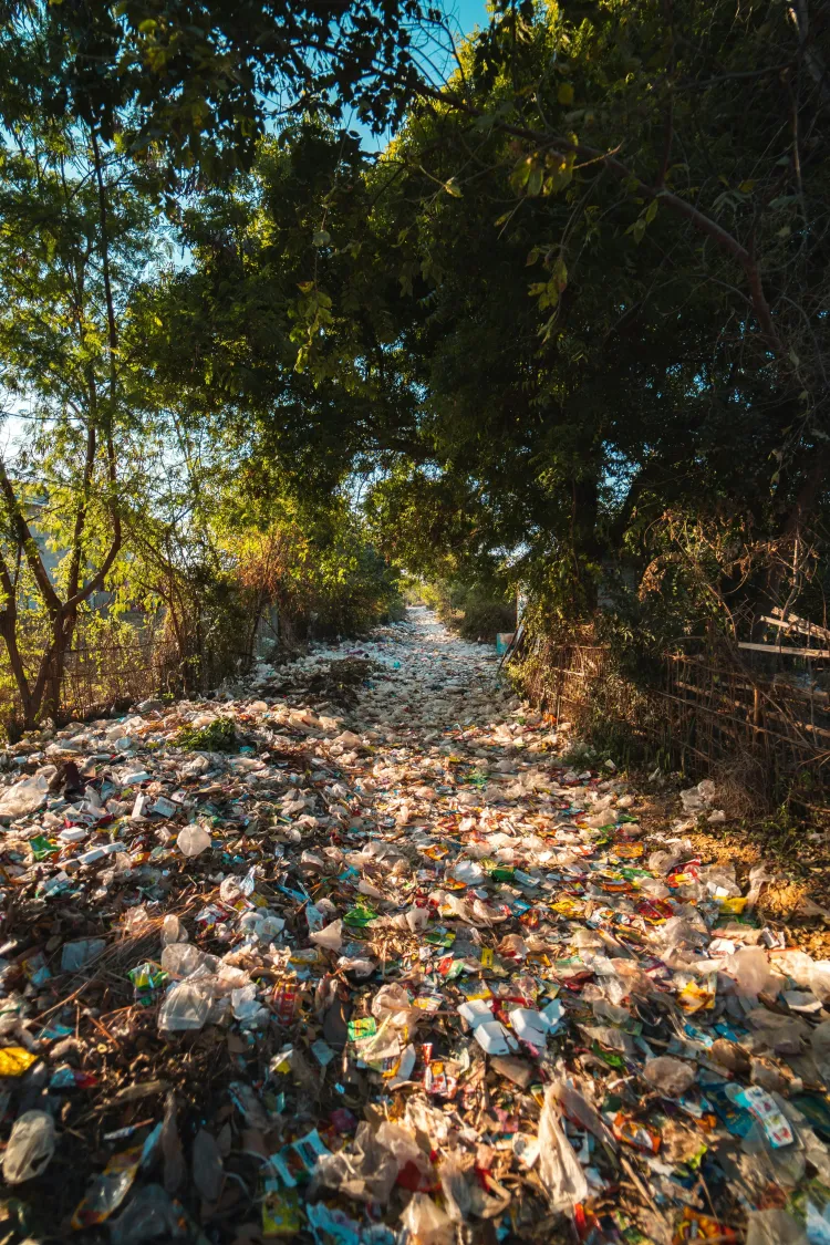 Gamtos ištekliai, jų tarša ir tausojimas