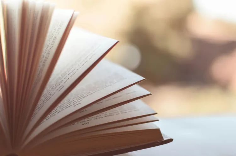 2025 m. NMPP gimtoji kalba ir literatūra (rusų) 4 kl.