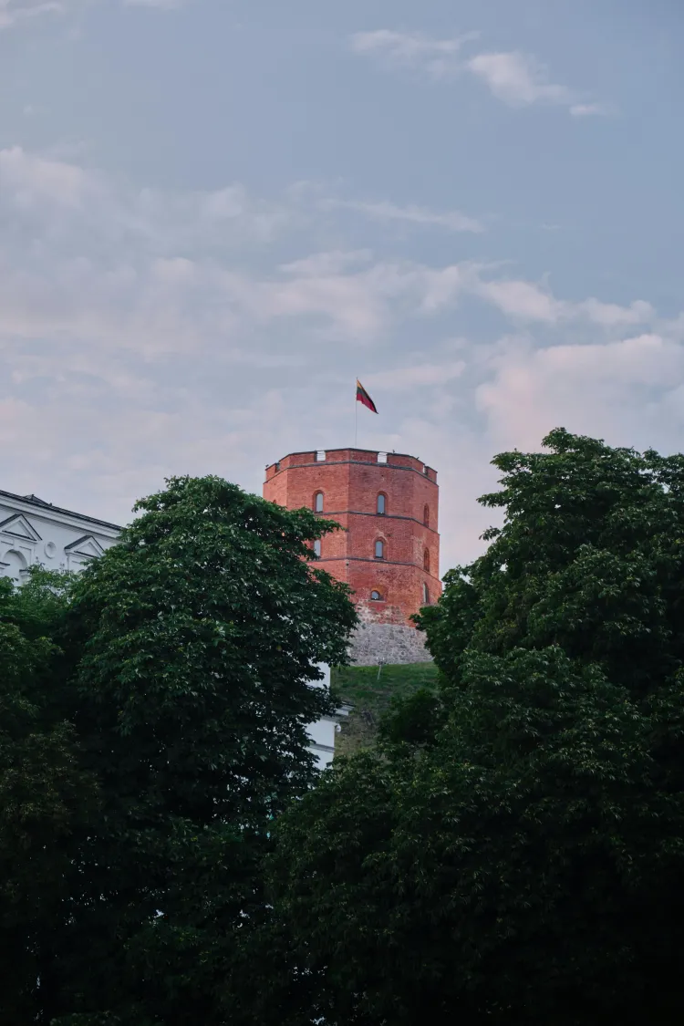 Pirmosios ir antrosios Lietuvos Respublikų valstybingumo raidos ypatumai.