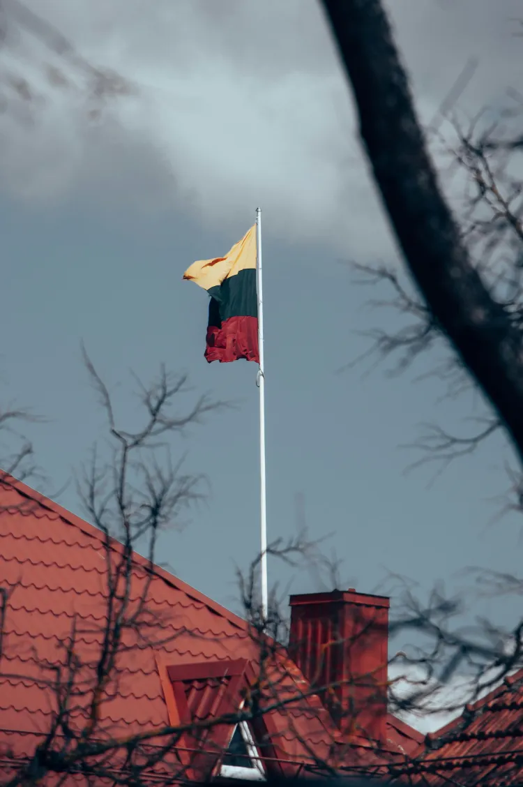 Senojo ir naujojo valstybingumo idėjos XIX a.–XX a. pr.: tarp LDK atkūrimo ir autonomijos.