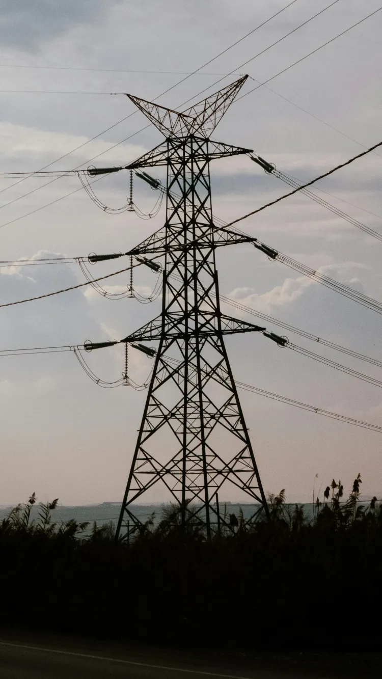 Elektros grandinės.