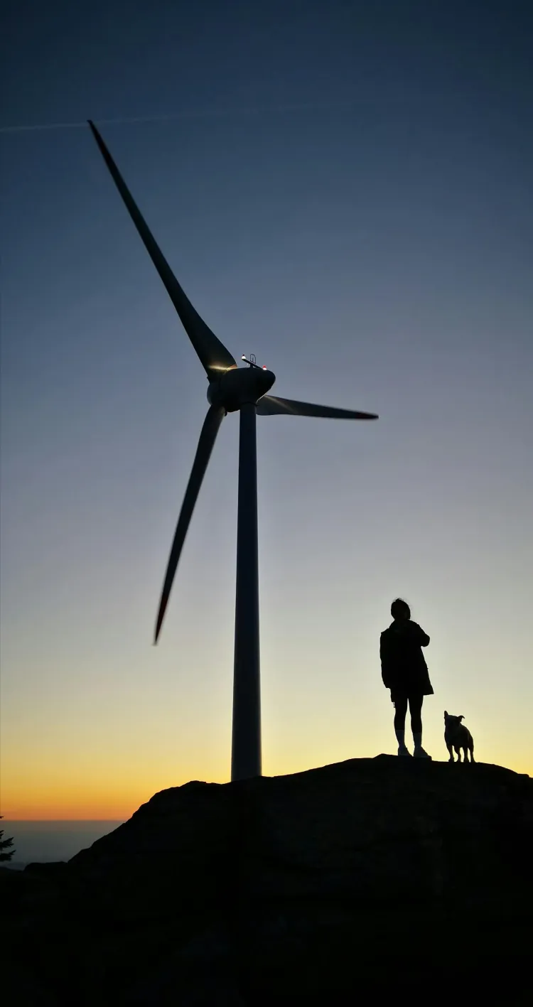 Energijos reikia visiems.