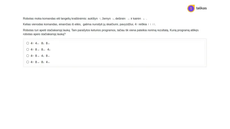 Programų kūrimas.